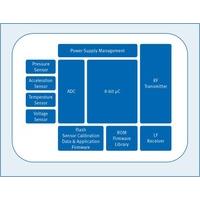 SP370231560XTMA1