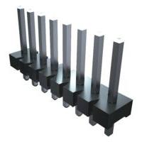 FWS-06-01-T-S