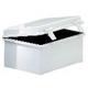 NBB-10253