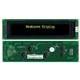 NHD-0440AZ-NLY-FBW