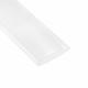 FP-301-1/2-CLEAR-4'-BULK