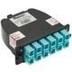 FC2ZN-06-03AS