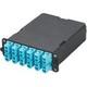 FCX-24-10BY