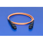 1062835202Molex