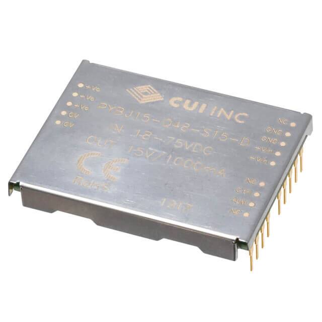 PYBJ15-Q48-S12-DCUI Inc.
