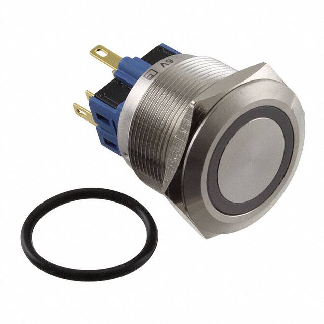 PV8F2Y0SS-313E-Switch