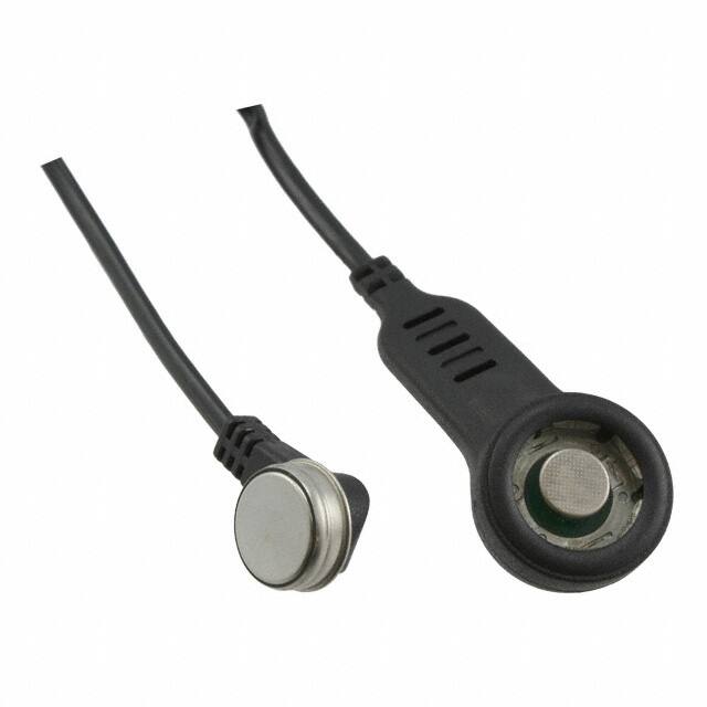 DS1402-BP8 Maxim Integrated