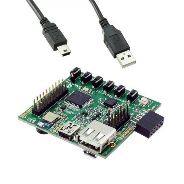 DM320018Microchip Technology