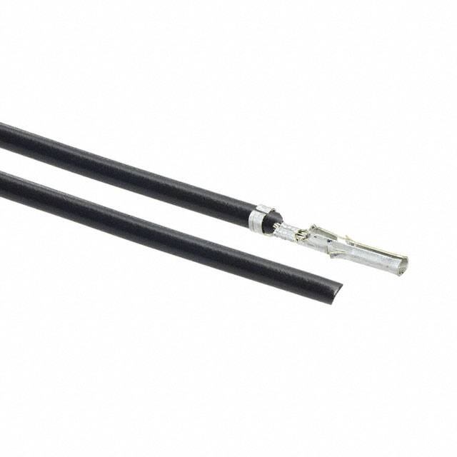 0002061101-02-B2Molex