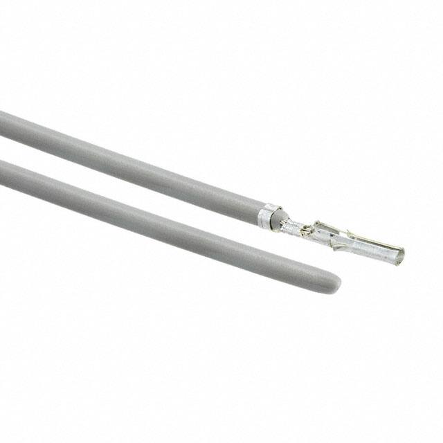 0002061101-11-S2Molex
