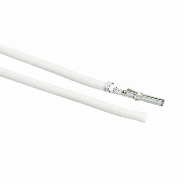 0002061101-02-W9Molex