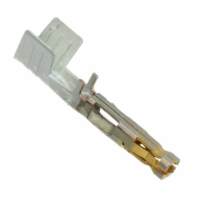 1720631312Molex