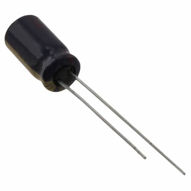 EEU-FC2A100Panasonic Electronic Components