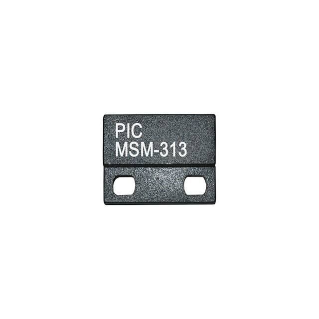 MSM-313PIC GmbH
