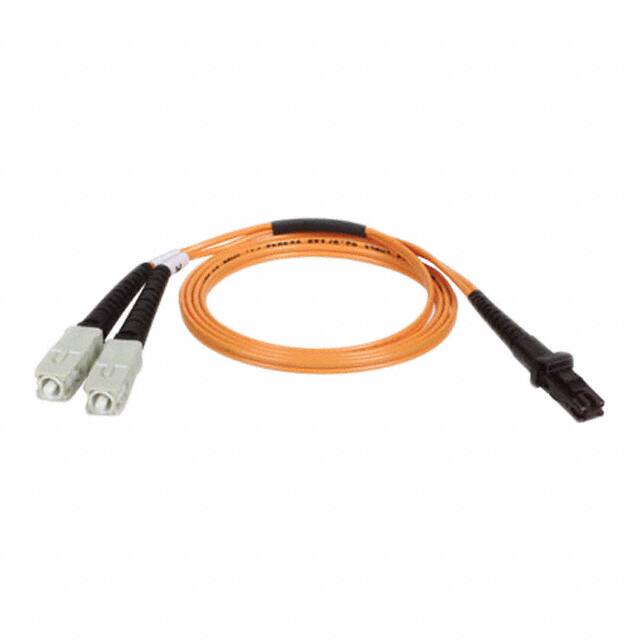 N310-010Tripp Lite
