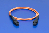 1062830019Molex