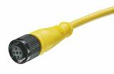 1200651701Molex