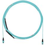 FSTYP5E5EKAM025Panduit Corp