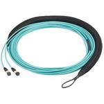 FXWSP5E5EAAF300Panduit Corp