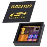 BGM123N256V2Silicon Labs