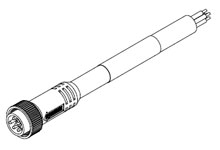 1300061676Molex