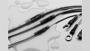 D-406-2004TE Connectivity Aerospace, Defense and Marine